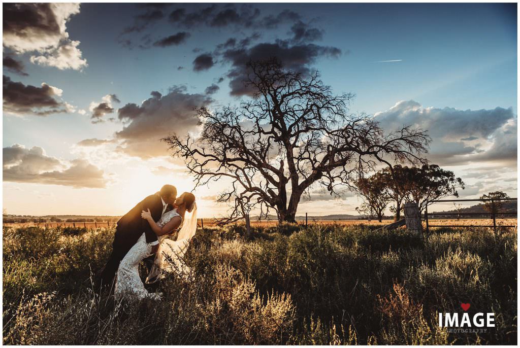a dead tree filters the setting sun on a wedding near Quirindi NSW