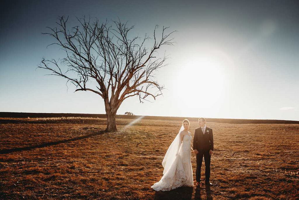 bride and groom walk away as the sun shines througyh her veil. with a dead tree in the background