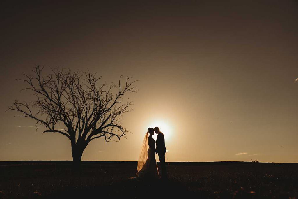 a bride and groom sunset set & a dead tree on the hills near Tamworth NSW