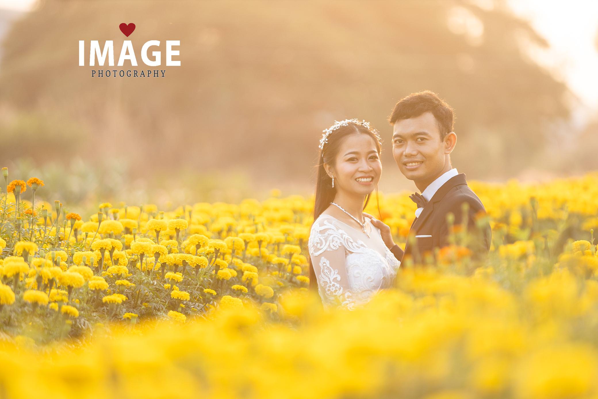 field of yellow flowers a bride and groom celebrate their wedding day in Phnom Penh