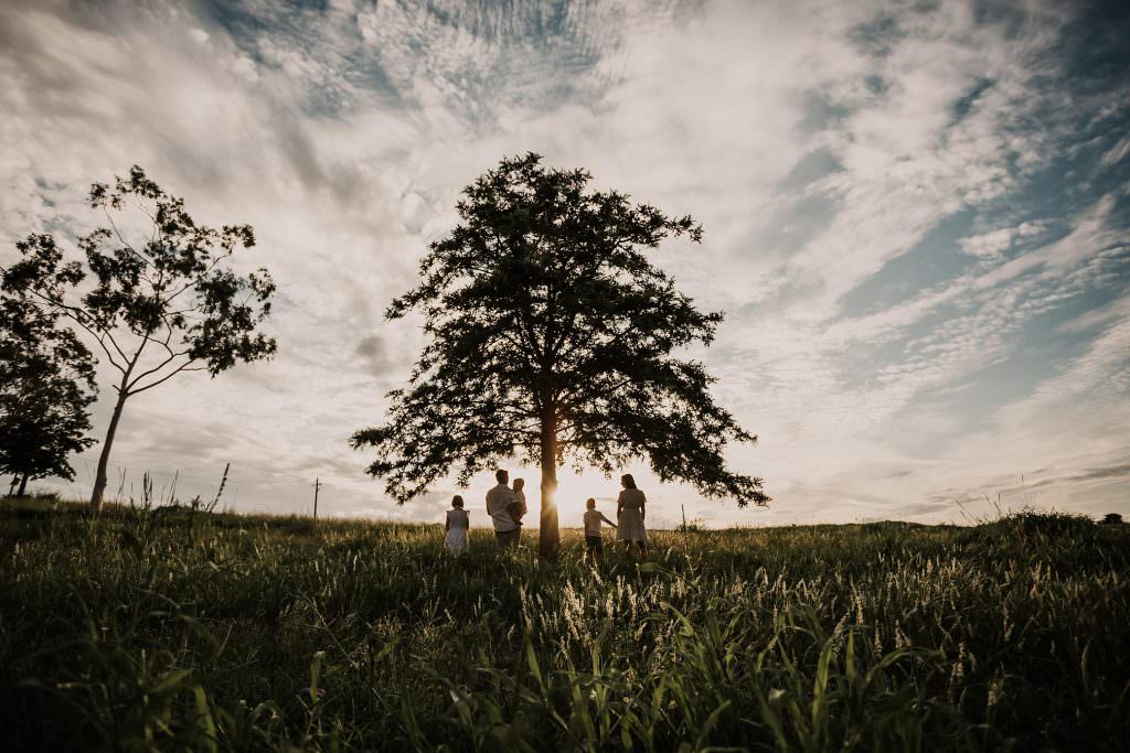 a huge pine tree with setting sun & whispy white clouds as a family of five stand either side on a grass covered hill near Tamworth
