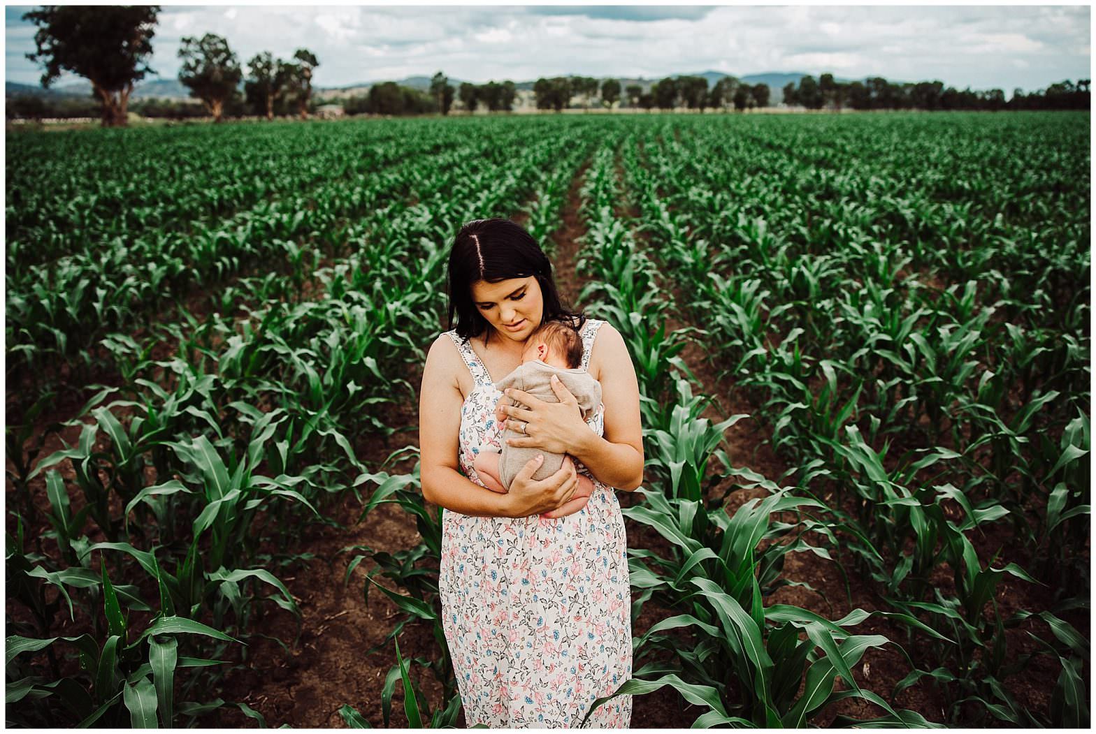 rows of green corn is the backdrop near Tamworth for family shoot as mother holds her week old baby as she looks down at her baby. She is wearing a floral dress