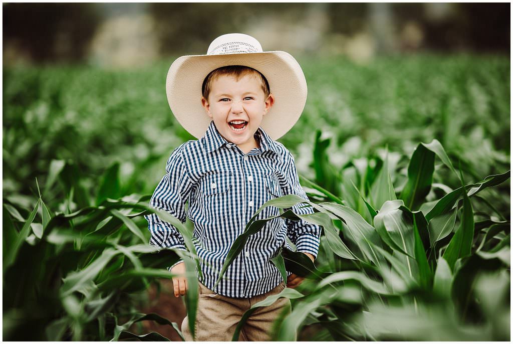a laugh & a dinosaur rawr for a four year old cowboy in a green corn crop