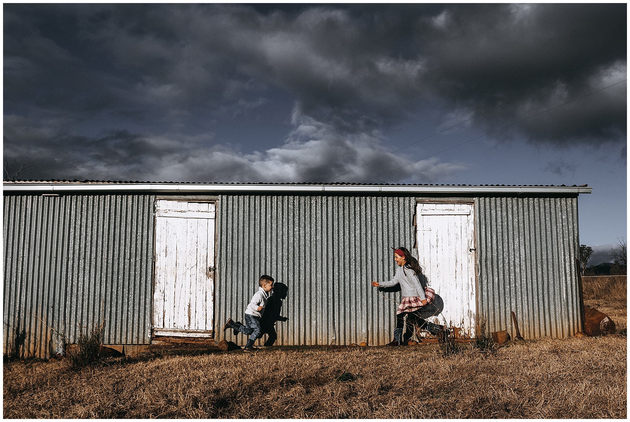 a chook shed with white doors the two Tamworth kids run to meet each other