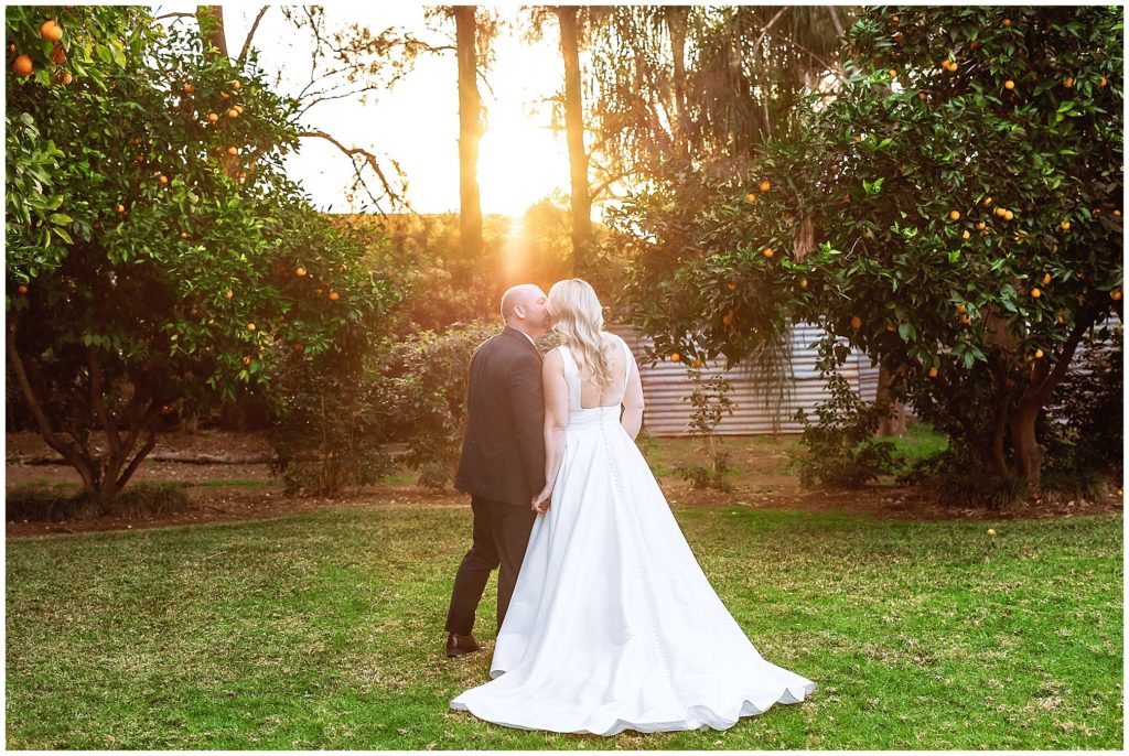 a setting golden sun at the pavillion function centre Tamworth nsw with mandarins and green trees in the background as the sun sets the bride and groom kiss with their backs to us