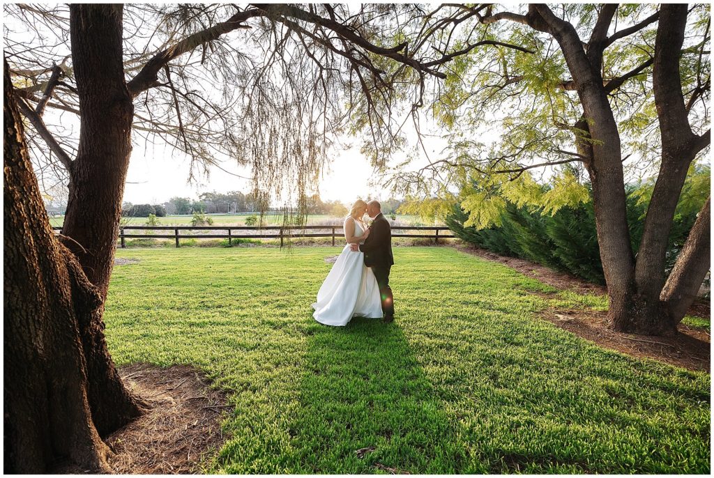 between two trees a fence in the background a couple hug