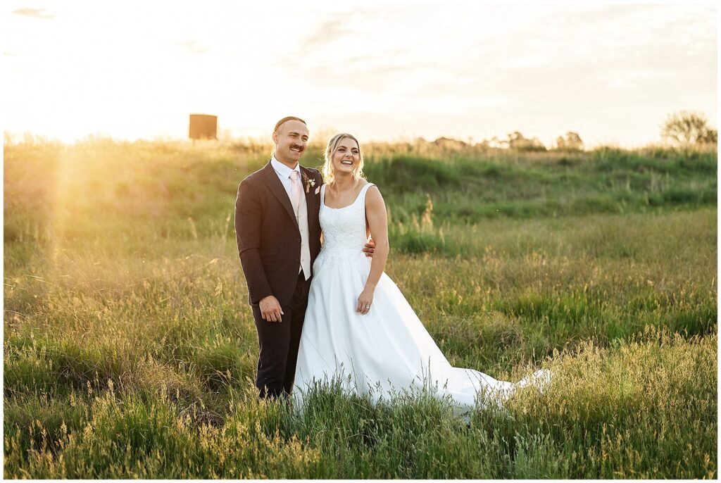 golden grass as the sun sets near Tangarratta Vineyard in Tamworth