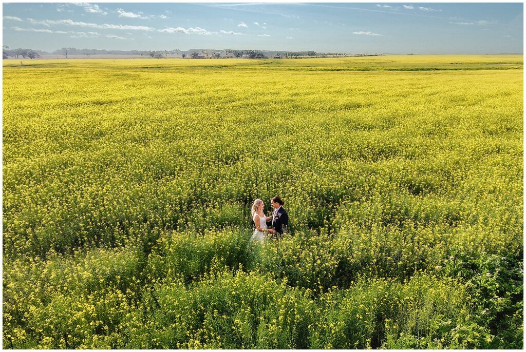 sun and canola for a bride and groom on their wedding day